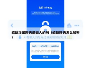 蝙蝠加密聊天是骗人的吗（蝙蝠聊天怎么解密）