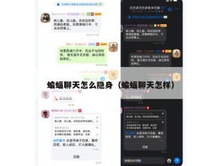 蝙蝠聊天怎么隐身（蝙蝠聊天怎样）