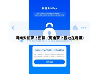 河南安阳萝卜密聊（河南萝卜基地在哪里）