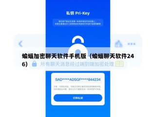 蝙蝠加密聊天软件手机版（蝙蝠聊天软件246）