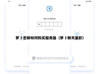 萝卜密聊如何购买服务器（萝卜聊天兼职）