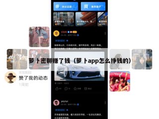 萝卜密聊赚了钱（萝卜app怎么挣钱的）