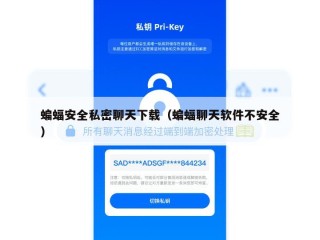 蝙蝠安全私密聊天下载（蝙蝠聊天软件不安全）