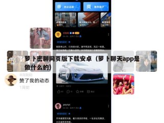 萝卜密聊网页版下载安卓（萝卜聊天app是做什么的）