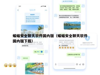 蝙蝠安全聊天软件国内版（蝙蝠安全聊天软件国内版下载）