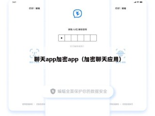 聊天app加密app（加密聊天应用）