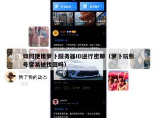 如何使用萝卜服务器ID进行密聊（萝卜玩账号容易被找回吗）