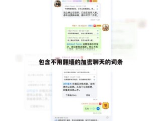 包含不用翻墙的加密聊天的词条