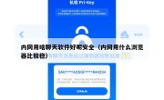 内网用啥聊天软件好呢安全（内网用什么浏览器比较稳）