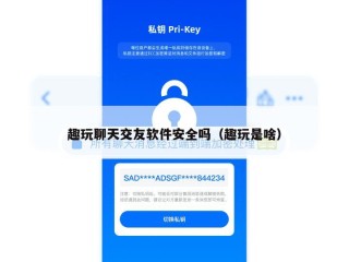 趣玩聊天交友软件安全吗（趣玩是啥）