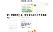 萝卜密聊是干什么（萝卜蜜的功效与作用及图片）