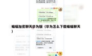 蝙蝠加密聊天华为版（华为怎么下载蝙蝠聊天）