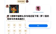 萝卜密聊诈骗那么多为啥还能下载（萝卜蜜的功效与作用及图片）