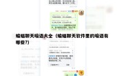 蝙蝠聊天暗语大全（蝙蝠聊天软件里的暗语有哪些?）