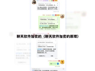 聊天软件加密的（聊天软件加密的原理）