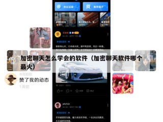 加密聊天怎么学会的软件（加密聊天软件哪个最火）
