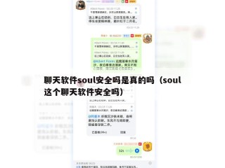 聊天软件soul安全吗是真的吗（soul这个聊天软件安全吗）