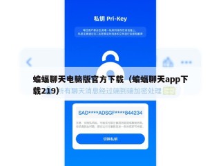 蝙蝠聊天电脑版官方下载（蝙蝠聊天app下载219）