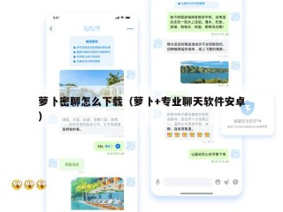 萝卜密聊怎么下载（萝卜+专业聊天软件安卓）