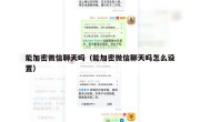 能加密微信聊天吗（能加密微信聊天吗怎么设置）