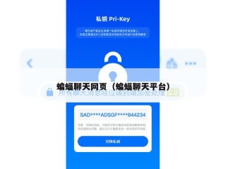 蝙蝠聊天网页（蝙蝠聊天平台）