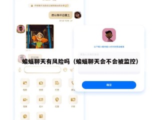 蝙蝠聊天有风险吗（蝙蝠聊天会不会被监控）