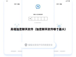 高端加密聊天软件（加密聊天软件哪个最火）