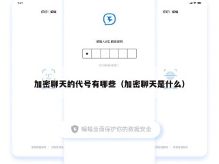加密聊天的代号有哪些（加密聊天是什么）