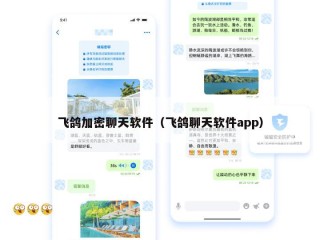 飞鸽加密聊天软件（飞鸽聊天软件app）
