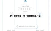 萝卜密聊套路（萝卜密聊套路是什么）