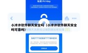 小冲冲软件聊天安全吗（小冲冲软件聊天安全吗可靠吗）