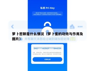 萝卜密聊是什么情况（萝卜蜜的功效与作用及图片）