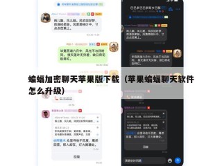 蝙蝠加密聊天苹果版下载（苹果蝙蝠聊天软件怎么升级）