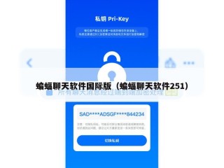 蝙蝠聊天软件国际版（蝙蝠聊天软件251）