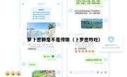 萝卜密聊是不是传销（卜罗密咋吃）