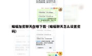 蝙蝠加密聊天在哪下载（蝙蝠聊天怎么设置密码）