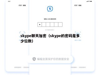 skype聊天加密（skype的密码是多少位数）