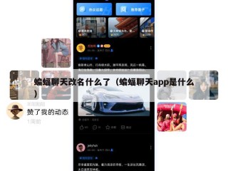 蝙蝠聊天改名什么了（蝙蝠聊天app是什么）
