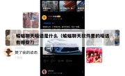 蝙蝠聊天暗语是什么（蝙蝠聊天软件里的暗语有哪些?）