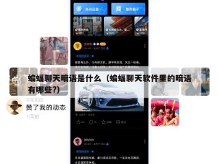 蝙蝠聊天暗语是什么（蝙蝠聊天软件里的暗语有哪些?）