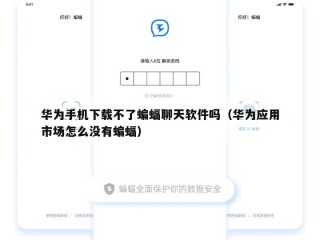 华为手机下载不了蝙蝠聊天软件吗（华为应用市场怎么没有蝙蝠）