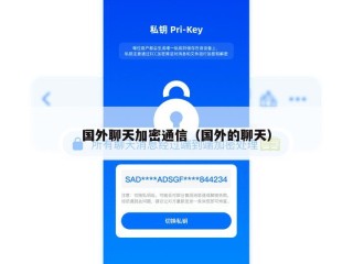 国外聊天加密通信（国外的聊天）