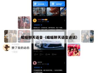 蝙蝠聊天语音（蝙蝠聊天语音通话）