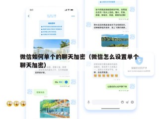 微信如何单个的聊天加密（微信怎么设置单个聊天加密）