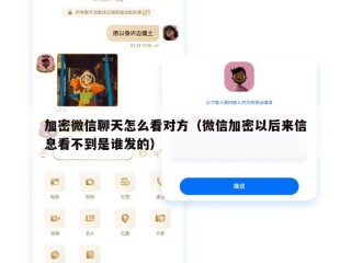 加密微信聊天怎么看对方（微信加密以后来信息看不到是谁发的）