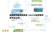 加密聊天翻译成英语（secret加密聊天软件怎么样）