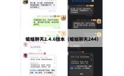 蝙蝠聊天2.4.6版本（蝙蝠聊天244）