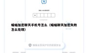 蝙蝠加密聊天手机号怎么（蝙蝠聊天加密失败怎么处理）