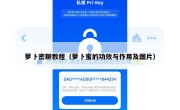 萝卜密聊教程（萝卜蜜的功效与作用及图片）
