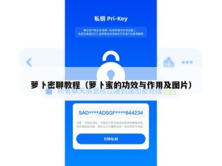 萝卜密聊教程（萝卜蜜的功效与作用及图片）